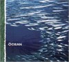 The Ocean - Fluxion