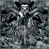 Detrimentum - Embracing This Deformity
