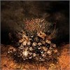 Brutal Rebirth - Hate Over All