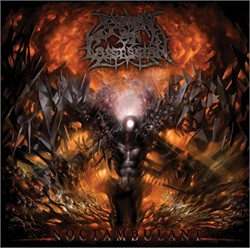 Spawn Of Possession - Noctambulant