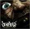 Dawn Of Demise - Lacerated