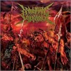 Awaiting The Autopsy  - Couldn't Tell The Bodies Apart
