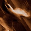 Agalloch - Ashes Against The Grain (Slipcase)