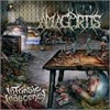 Amagortis - Intrinsic Indecency