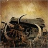 Clinging To The Trees Of A Forest Fire - Songs Of Ill Hope And Desperation