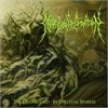 Near Death Condition - The Disembodied-In Spiritual Spheres