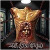 Split Torso Trauma  - 5 Band Split