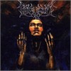 Locusta - Locusta