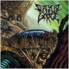 Septycal Gorge - Growing Seeds Of Decay