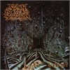 Spawn Of Possesion - Cabinet Lp