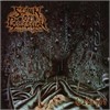 Spawn Of Possesion - Cabinet Lp