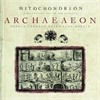 Mitochondrion - Archaeaon