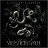 Meshuggah - Catch 33 (Limited Edition)