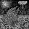 Ascended Dead - Abhorrent Manisfestation