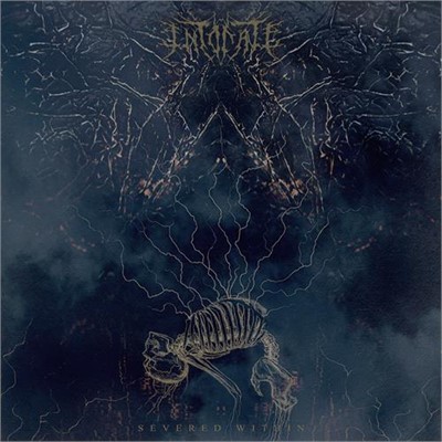 Intonate - Severed Within Lp 