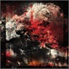 Ruin Lust - Dissimulant 12" Lp