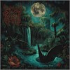 Sallow Moth - Hydrophilous Brood Lp