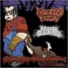 Digested Flesh / Inhuman Dissiliency  - Accumulation Of Eviscerated Remnants / Split Cd