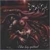 Disgorge - She Lay Gutted