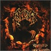Insision - Revealed And Worshipped