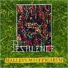 Pestilence - Mallevs Maleficarvm